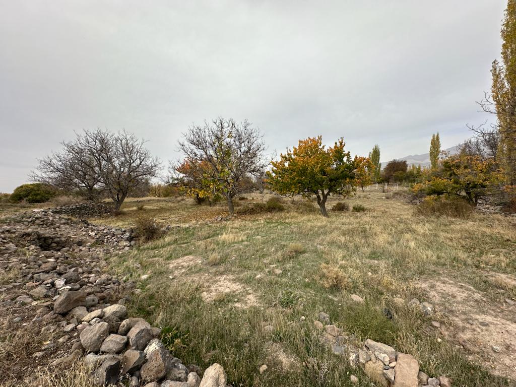 KAYSERİ DEVELİ GÜNEYAŞAĞI MAHALLESİ KALEALTI MEVKİNDE SATILIK BAHÇE